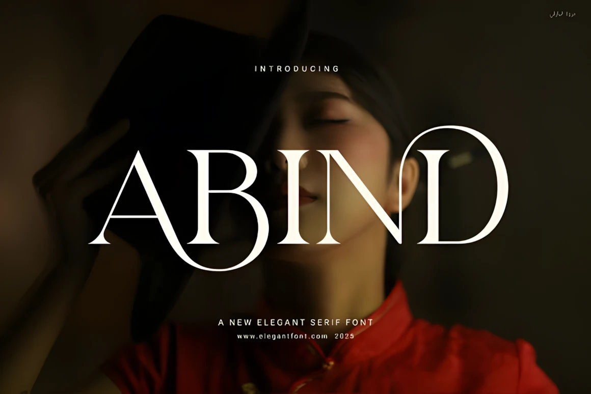 Best Font Pairings for Modern Web in 2026 6 Abind serif font preview showing elegant high-contrast letters for logos, packaging, editorial titles and print design