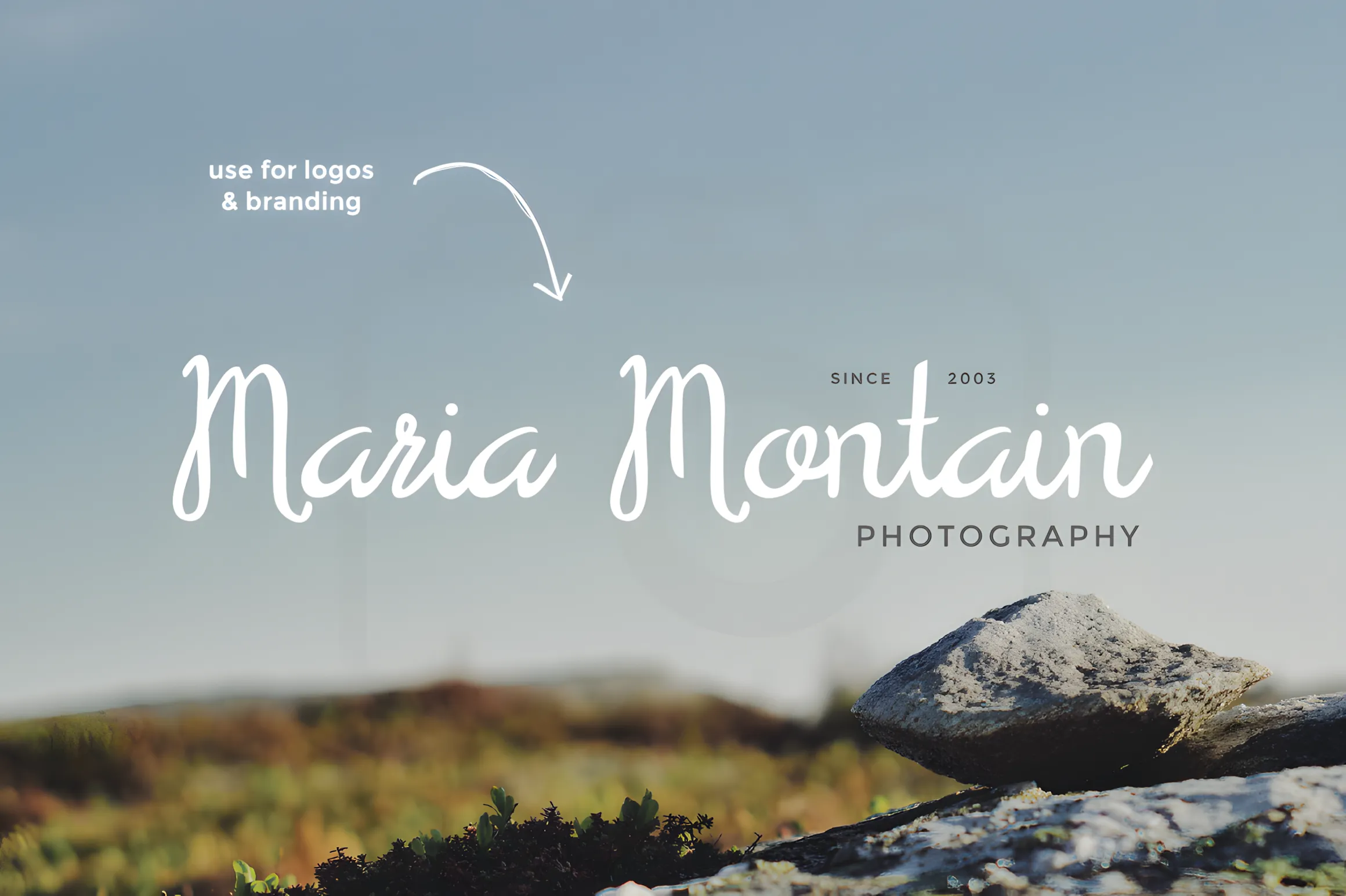 15 Best Script Fonts for Formal and Casual Branding 8 Serendipity by maroonbaboondesigners upscayl 2x upscayl standard