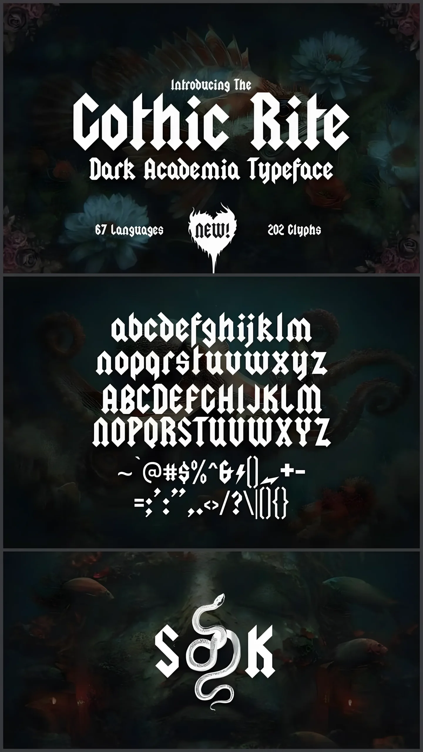 The Gothic Rite Font: Dark Blackletter With Academic Edge 6 The Gothic Rite Font blackletter display typeface alphabet