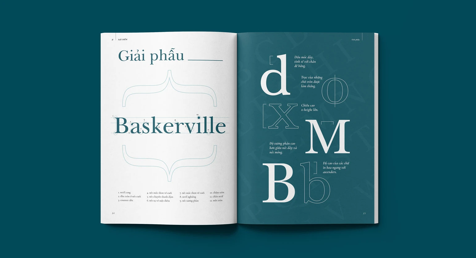 7 Best Fonts for Branding and Logo Design 12 lrv2utigru