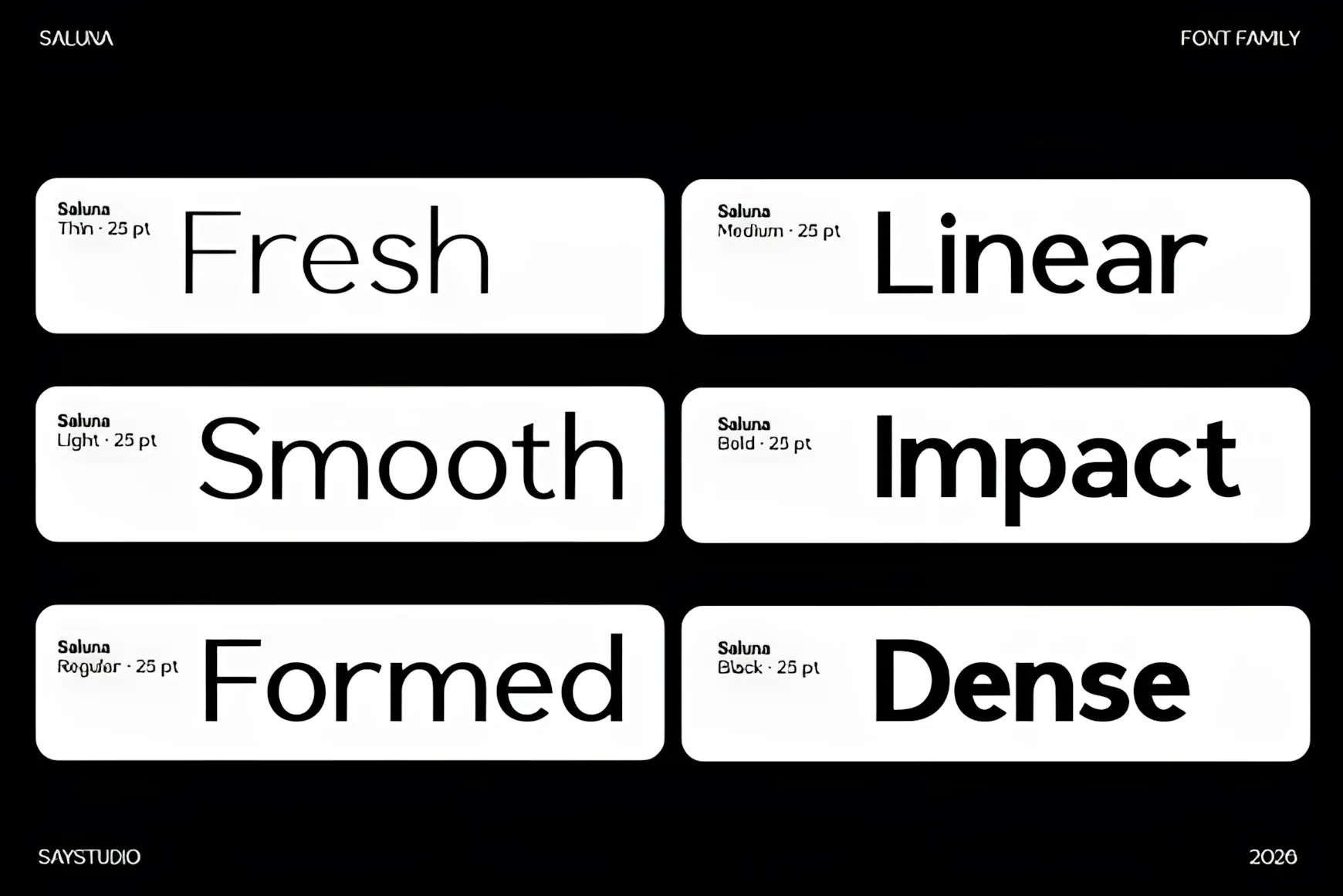 Saluna Font for Clean Professional Design Systems 7 Saluna font family characters and typography details