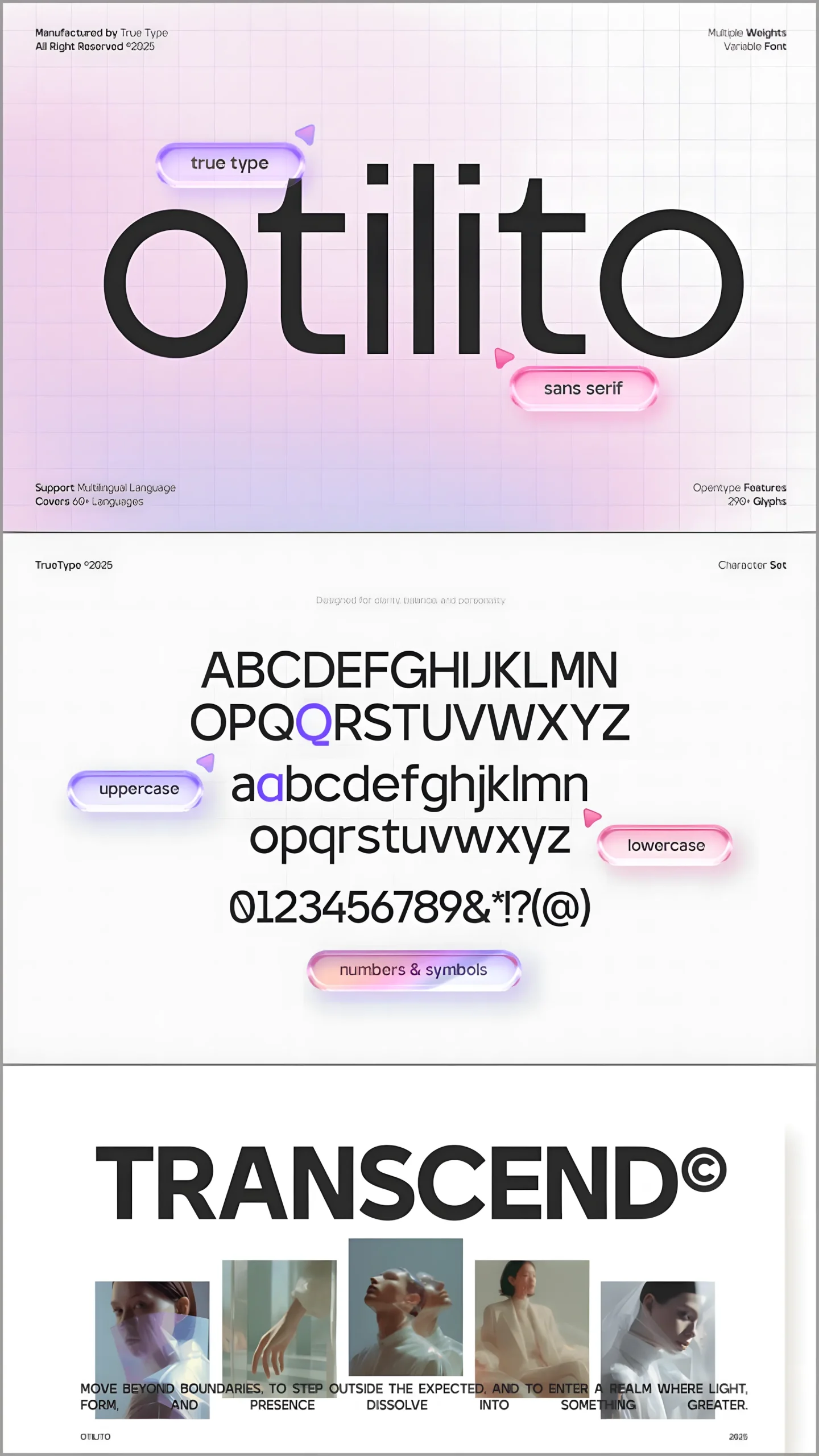 15 Modern Sans Serif Fonts for Branding and Logos 20 TRT Otilito versatile sans serif font for logos and UI branding